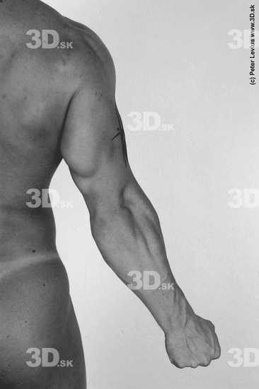 Arm Man Animation references White Nude Muscular