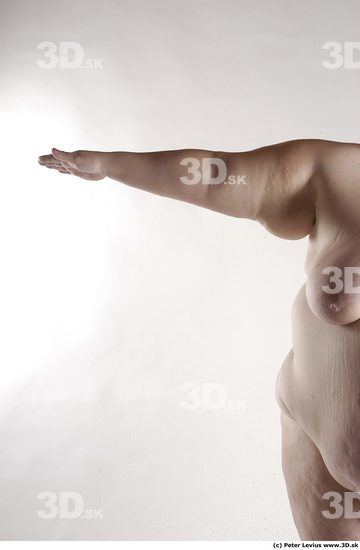 Arm Whole Body Woman Animation references Nude Overweight Studio photo references