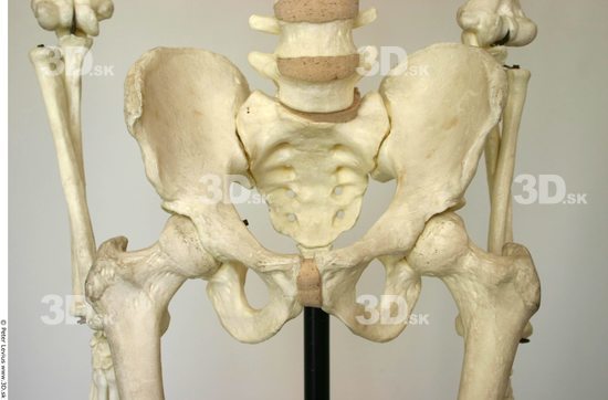 Hips Skeleton