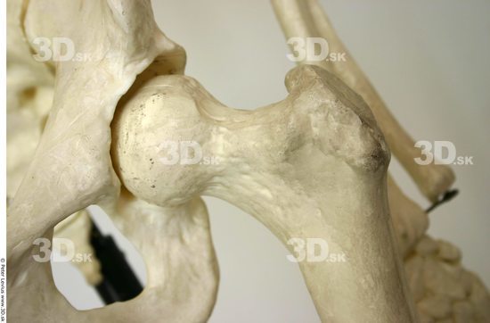 Hips Skeleton
