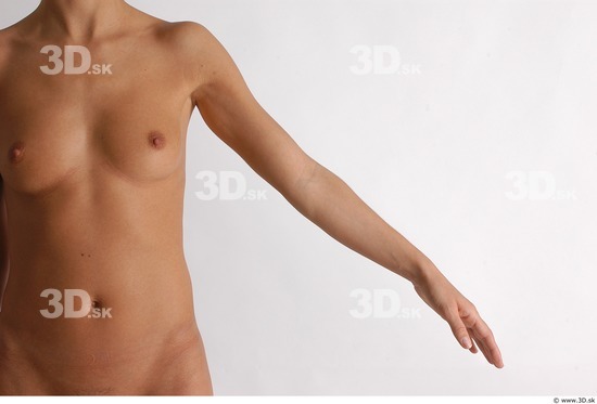 Arm Woman Animation references White Nude Slim