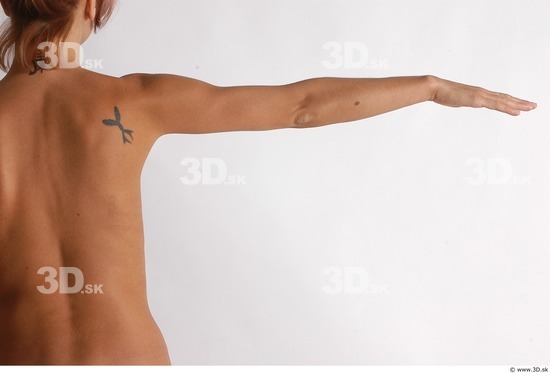 Arm Woman Animation references White Tattoo Nude Slim