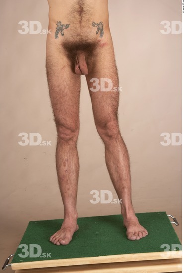 Leg Whole Body Man Tattoo Nude Slim Studio photo references