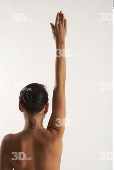 Arm Woman Animation references White Nude Slim