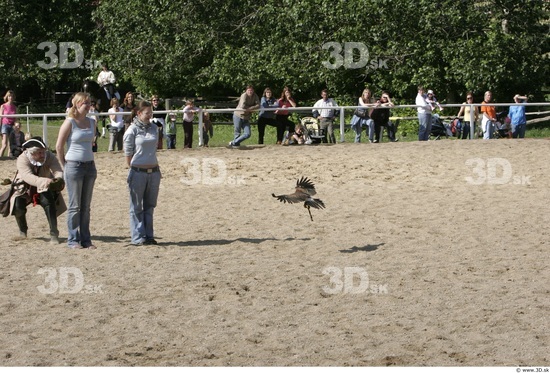 Whole Body Bird of Prey