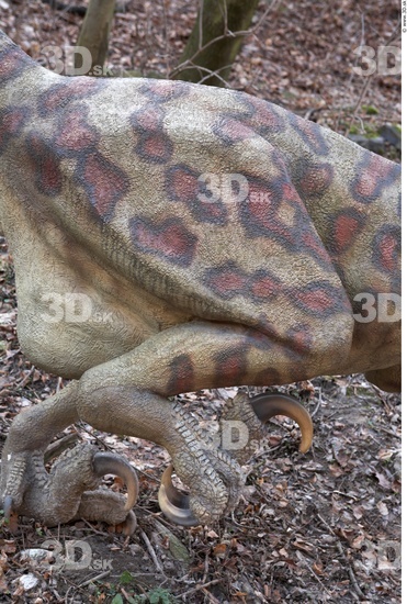 Thigh Whole Body Dinosaurus-Saurian Animal photo references