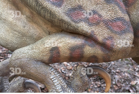 Calf Whole Body Dinosaurus-Saurian Animal photo references