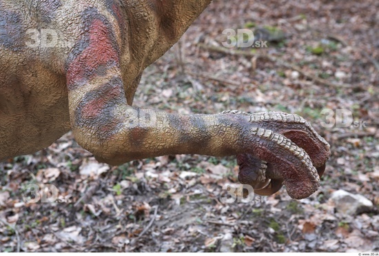 Hand Whole Body Dinosaurus-Saurian Animal photo references