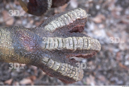 Foot Whole Body Dinosaurus-Saurian Animal photo references