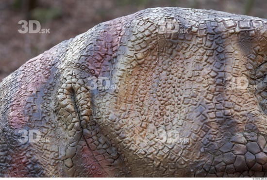 Whole Body Skin Dinosaurus-Saurian Animal photo references