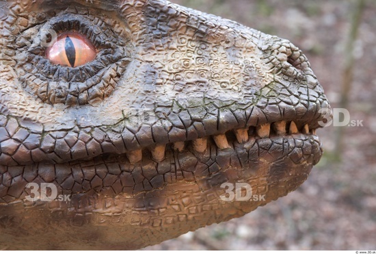 Mouth Whole Body Dinosaurus-Saurian Animal photo references