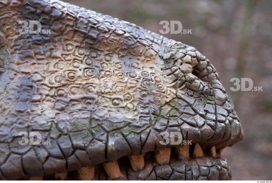 Nose Whole Body Dinosaurus-Saurian Animal photo references