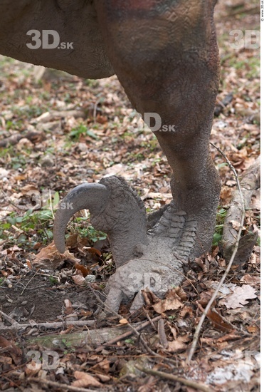 Foot Whole Body Dinosaurus-Saurian Animal photo references