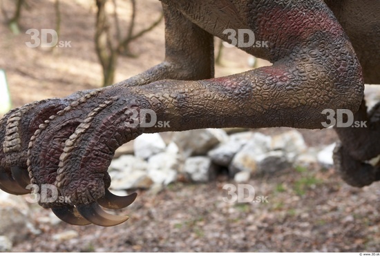 Hand Whole Body Dinosaurus-Saurian Animal photo references