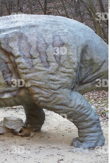 Leg Whole Body Dinosaurus-Triceratops Animal photo references