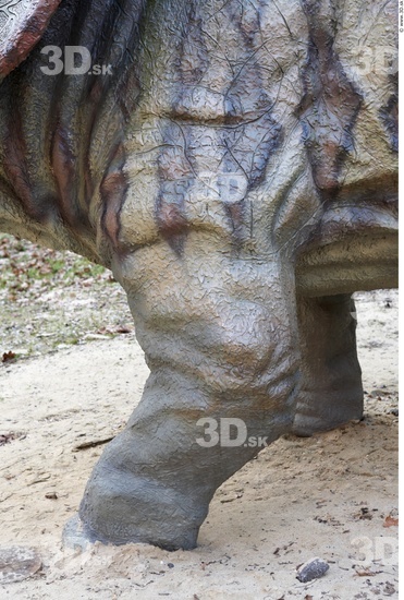 Leg Whole Body Dinosaurus-Triceratops Animal photo references