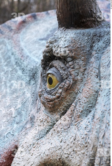 Eye Whole Body Dinosaurus-Triceratops Animal photo references