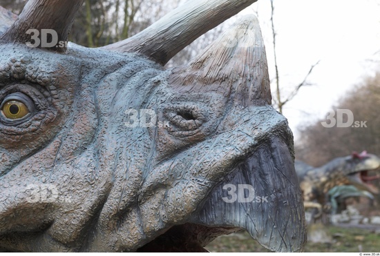 Nose Whole Body Dinosaurus-Triceratops Animal photo references