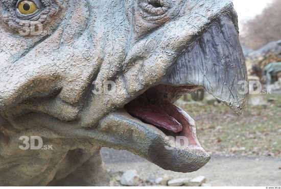 Mouth Whole Body Dinosaurus-Triceratops Animal photo references