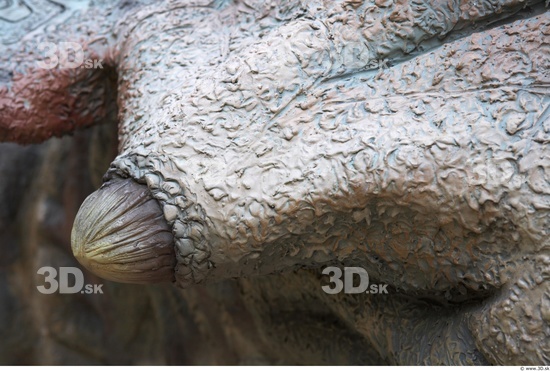 Whole Body Skin Dinosaurus-Triceratops Animal photo references