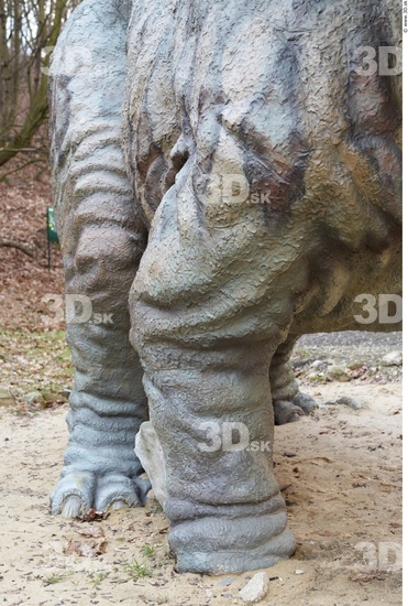 Leg Whole Body Dinosaurus-Triceratops Animal photo references