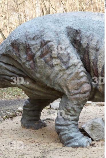 Leg Whole Body Dinosaurus-Triceratops Animal photo references