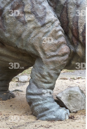 Calf Whole Body Dinosaurus-Triceratops Animal photo references