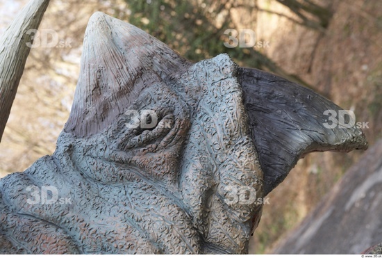 Nose Whole Body Dinosaurus-Triceratops Animal photo references