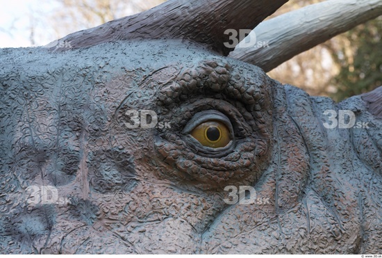 Eye Whole Body Dinosaurus-Triceratops Animal photo references