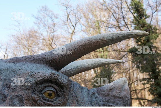 Whole Body Teeth Dinosaurus-Triceratops Animal photo references