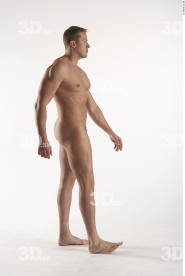 Whole Body Man Animation references White Nude Muscular