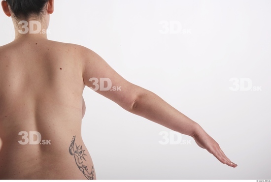 Arm Woman Animation references White Nude Average