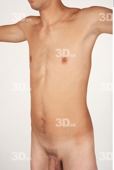 Upper Body Whole Body Man Nude Average Studio photo references