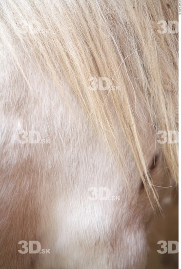 Skin Pony