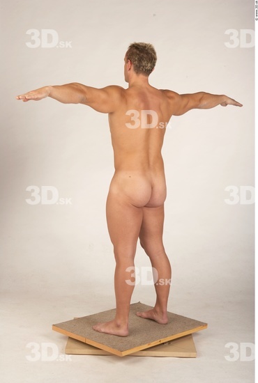 Whole Body Man T poses Nude Muscular Studio photo references