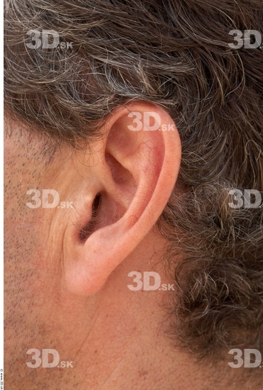 Ear Man White Average