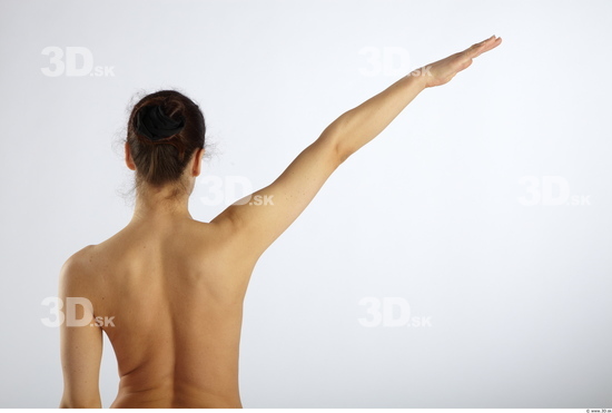 Arm Woman Animation references White Nude Slim