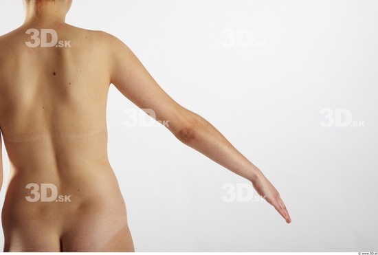 Arm Woman Animation references White Nude Average