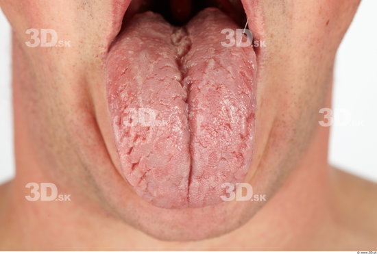 Tongue Man Average Studio photo references