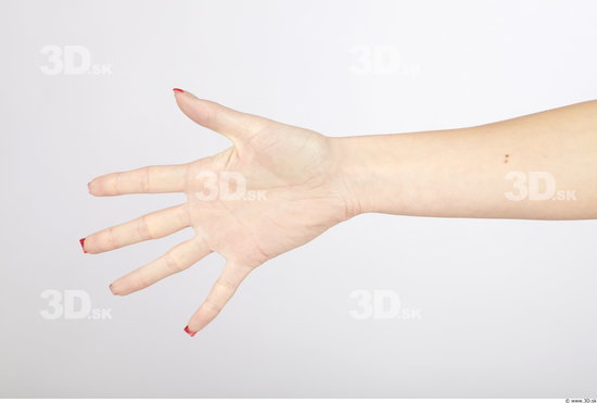Hand Woman Animation references Average Studio photo references