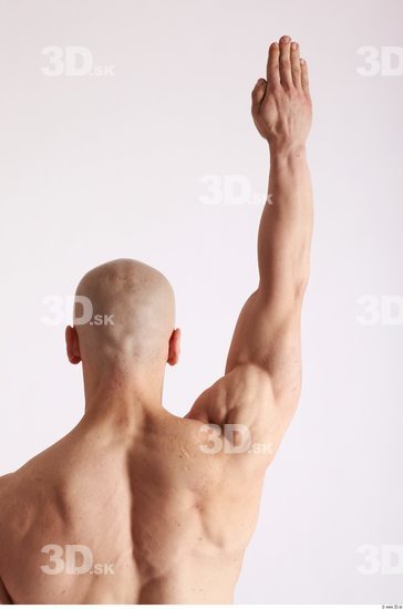 Arm Man Animation references White Nude Muscular