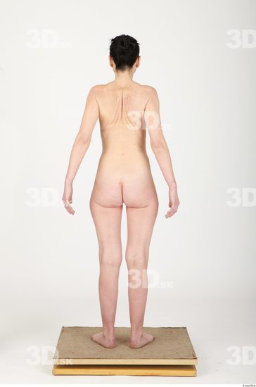 Whole Body Woman Animation references Nude Slim Studio photo references