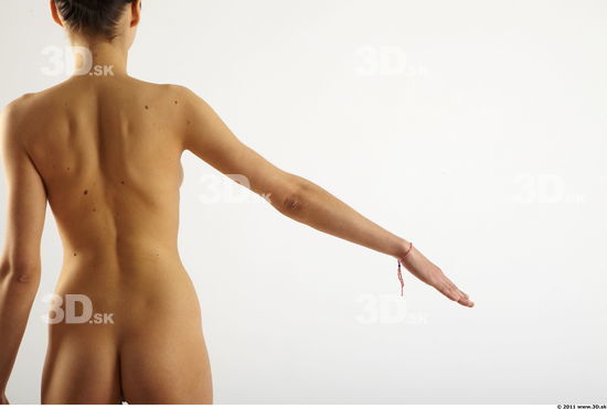 Arm Woman Animation references White Nude Slim