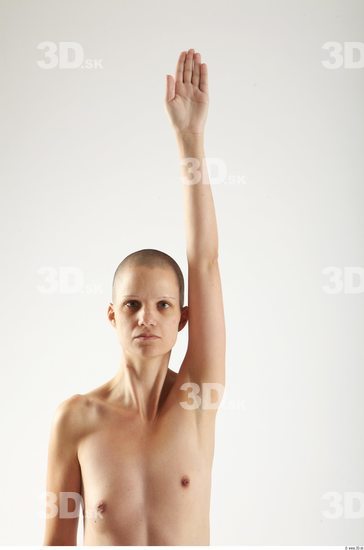 Arm Woman Animation references White Nude Slim