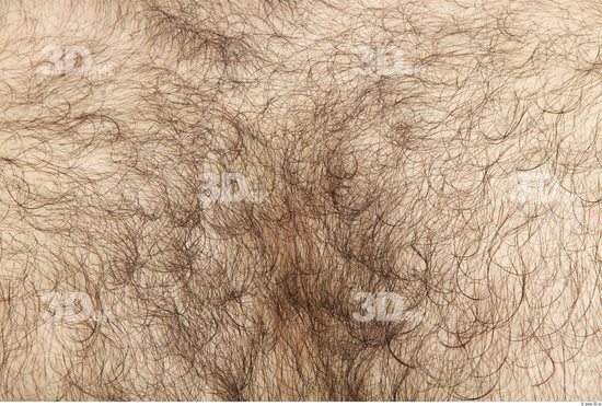 Whole Body Skin Man Hairy Nude Casual Overweight Studio photo references