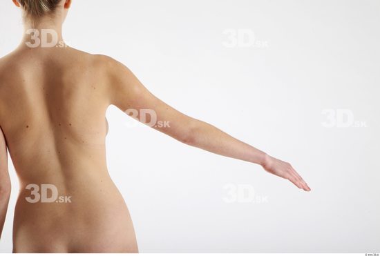 Arm Woman Animation references White Nude Slim