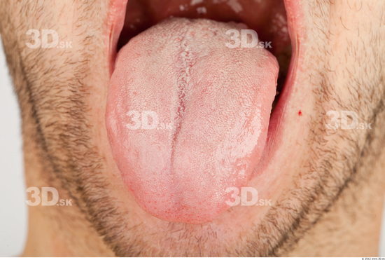 Whole Body Tongue Man Casual Average Studio photo references