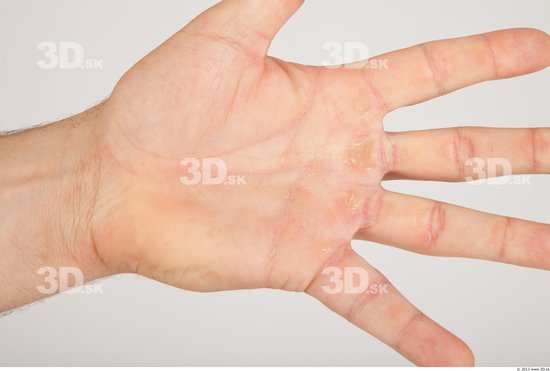 Hand Whole Body Man Animation references Casual Average Studio photo references