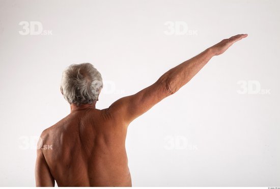 Arm Man Animation references White Nude Average Wrinkles