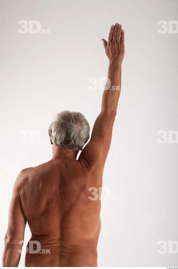 Arm Man Animation references White Nude Average Wrinkles